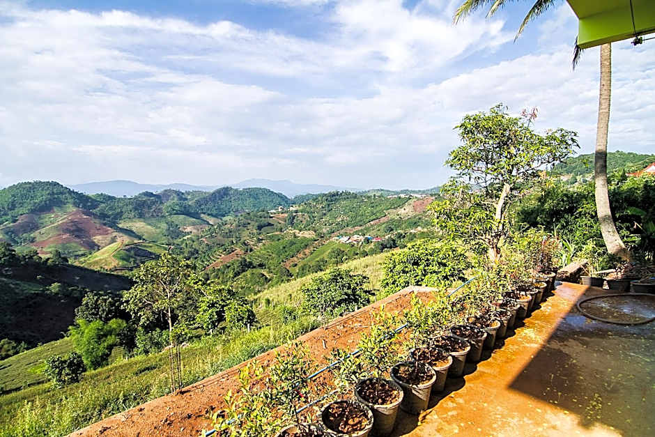 My Place Mae Salong