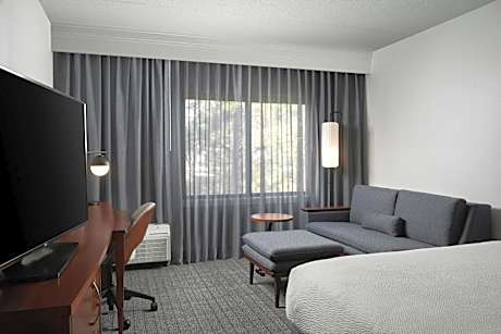 King Room with Sofa Bed