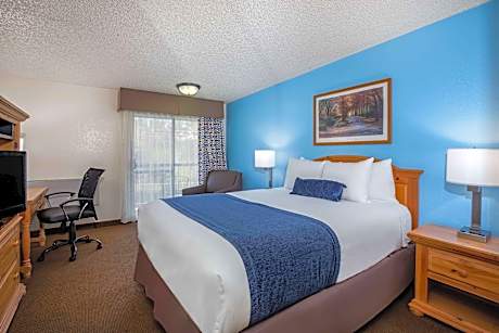 1 Queen Bed Studio Suite River View Non-Smoking