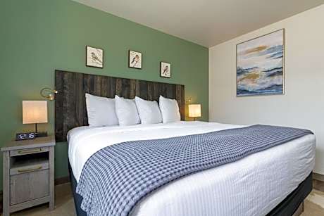 Sneffles Suite