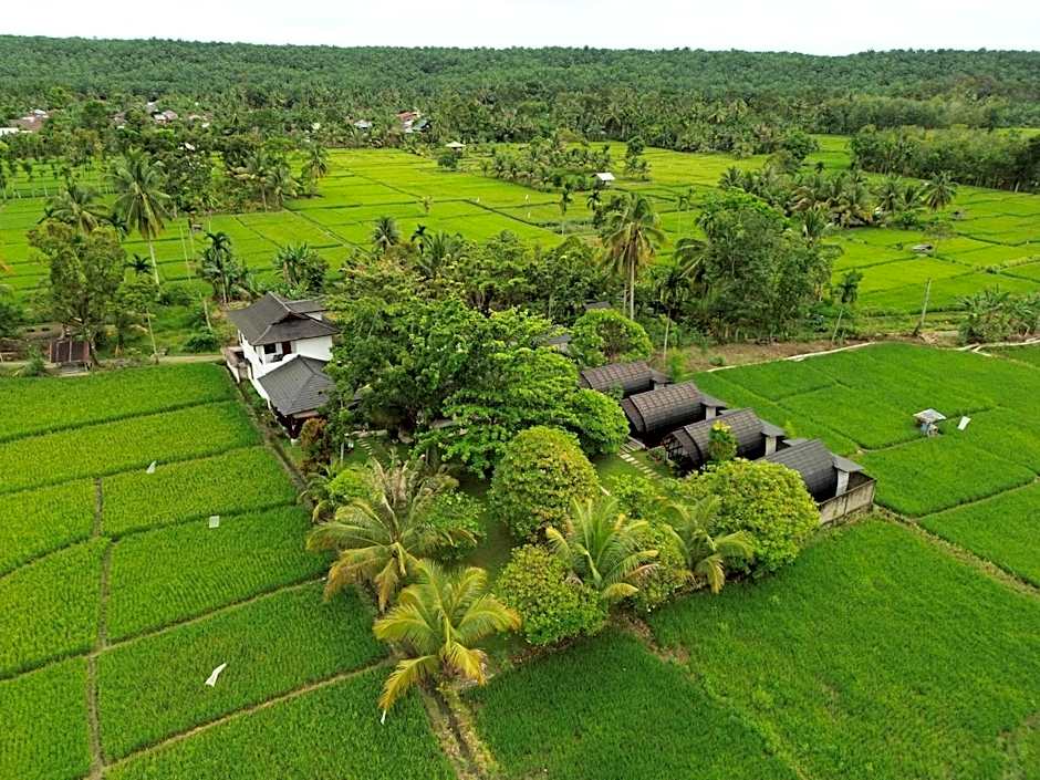 Gino's Place - Guest House & Jungle Trekking