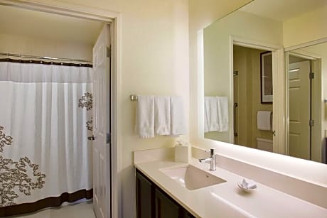 Suite, 1 Bedroom (1 Queen Bed and 1 Double Sofa Bed)