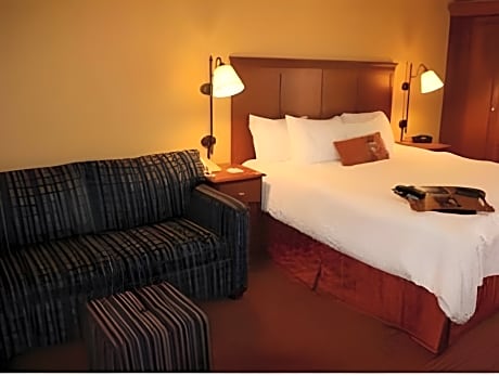  1 KING BED STUDY WITH SOFABED NONSMOKING - HDTV/FREE WI-FI/HOT BREAKFAST INCLUDED - WORK AREA -