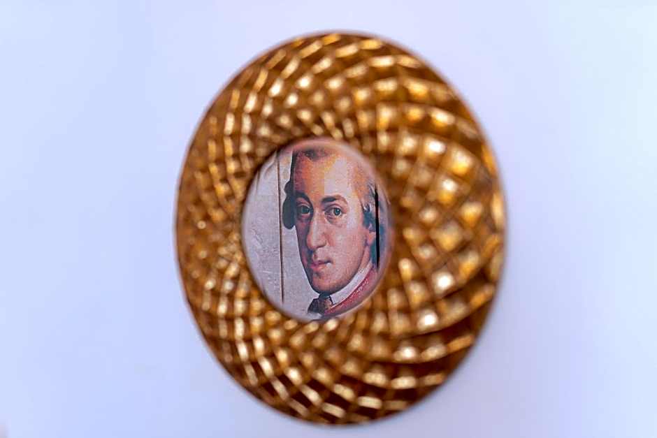 Amedia Plaza Wels, Trademark Collection by Wyndham