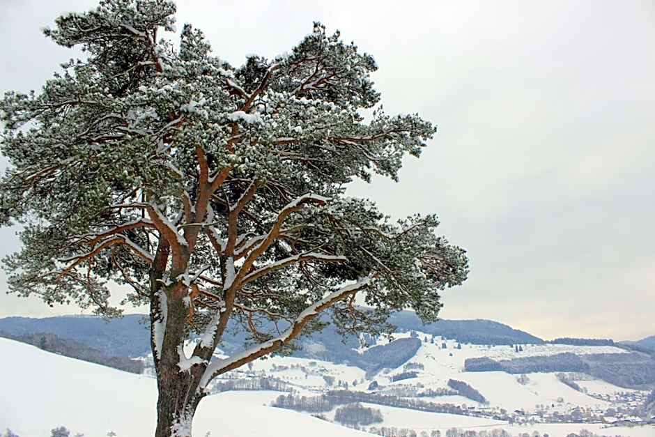 Landgasthof zum Schützen