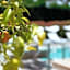 Boutique Hôtel Villa Fabulite