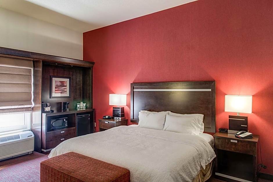 Hampton Inn By Hilton And Suites Detroit/Airport-Romulus