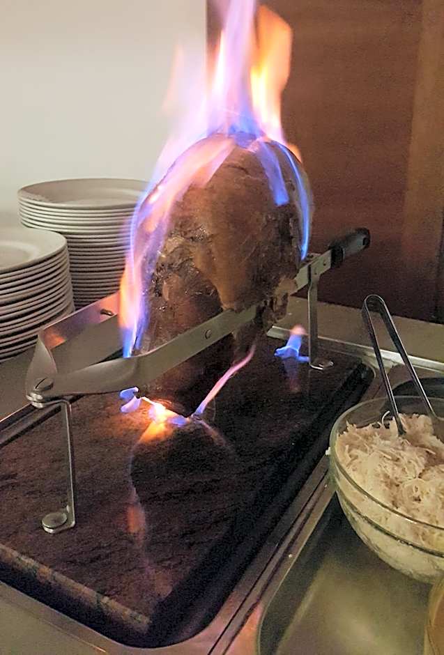 PRIMAVERA Hotel & Congress centre