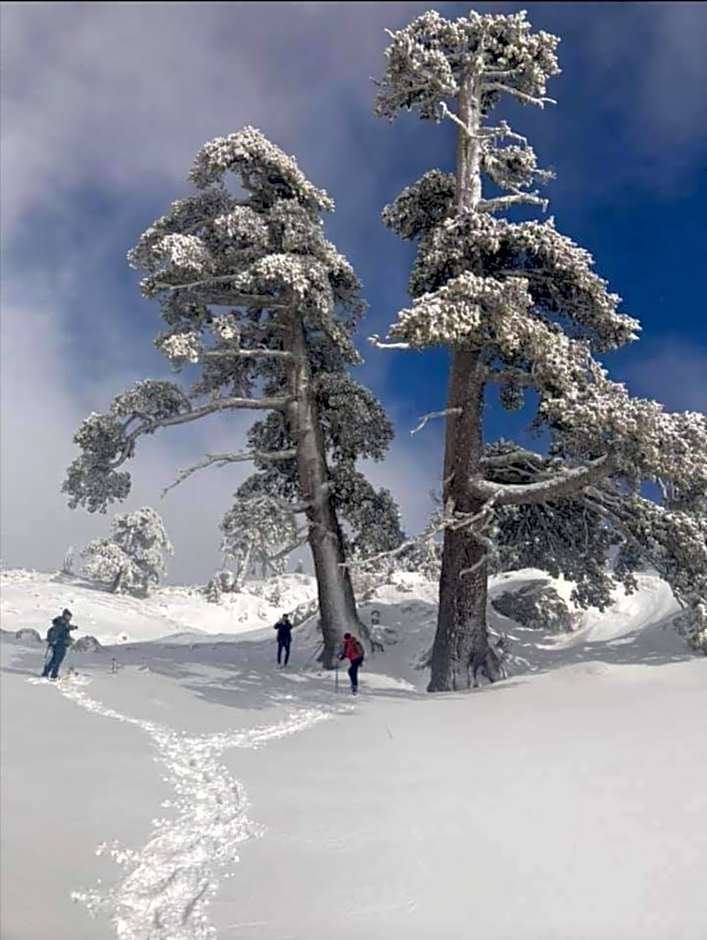 B&B Il Ghiro-Country House