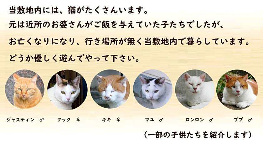 Tabi No Yado Harusame