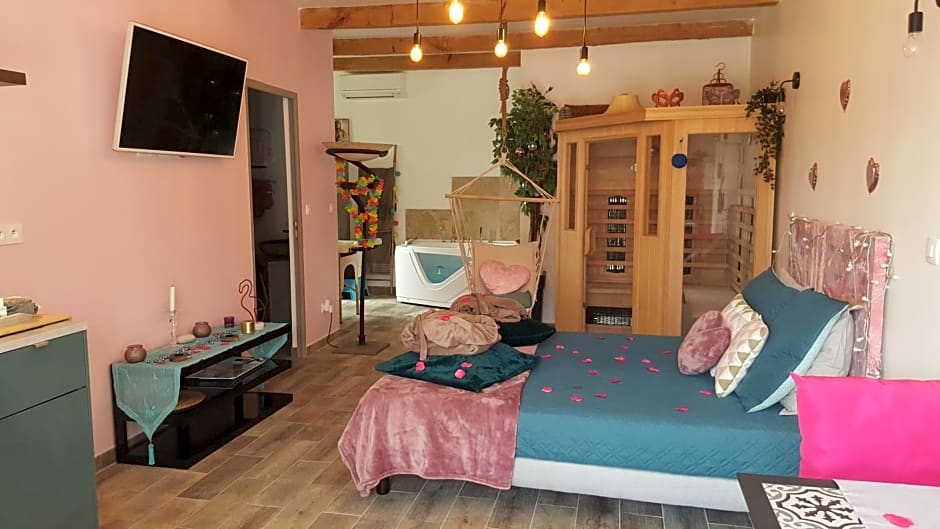 Le Mas Romantique avec Jacuzzi et Sauna privé