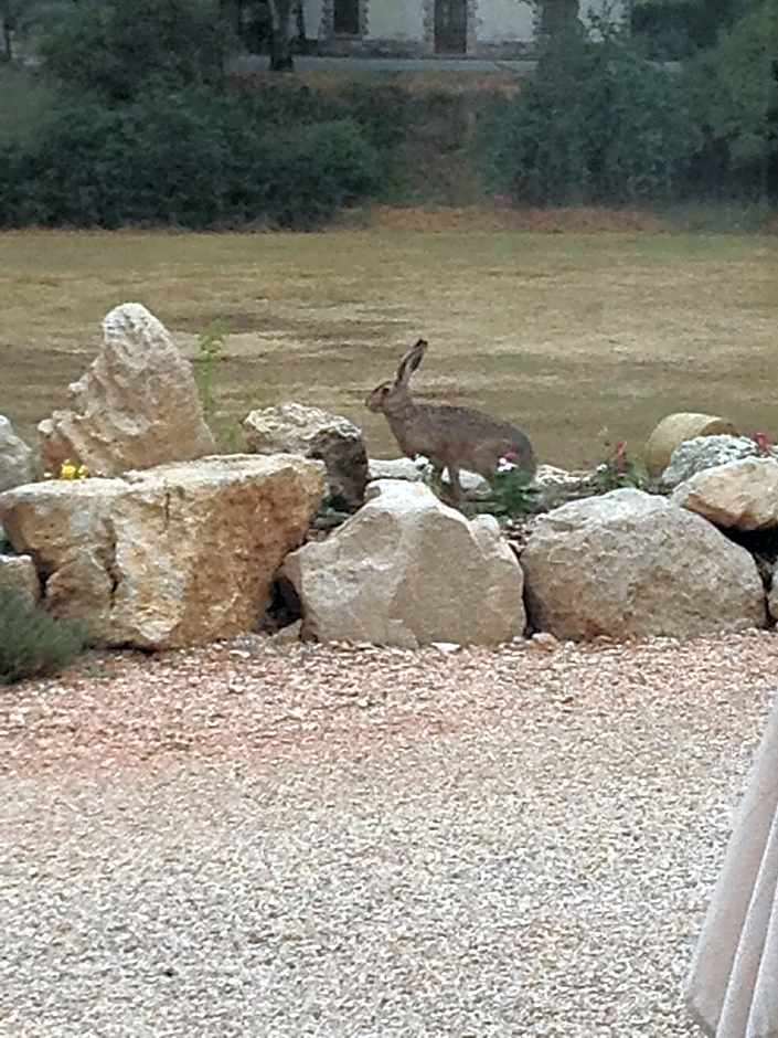 il casale san martino