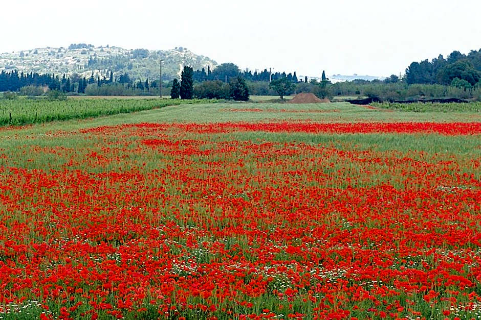Hôtel Spa Les Alpes