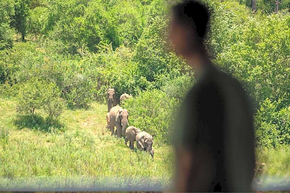 Leopard Sands, Kruger Park