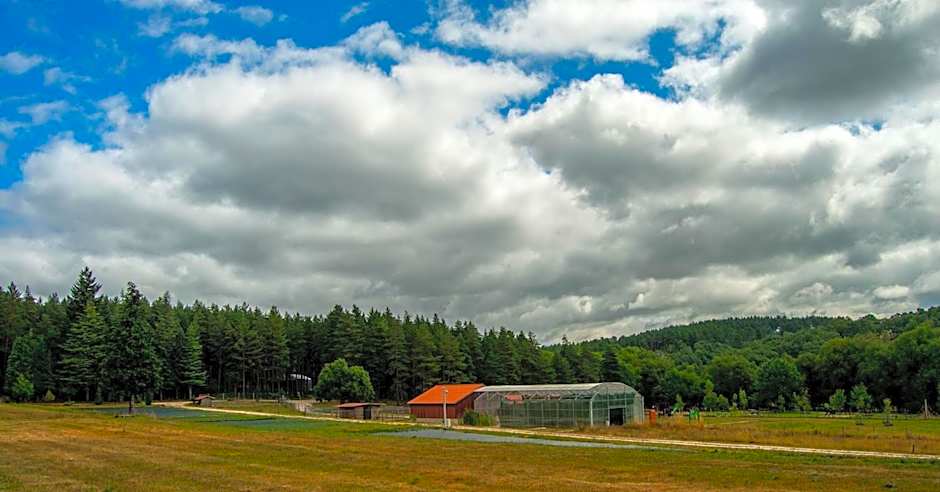 Boticas Parque Natur Houses