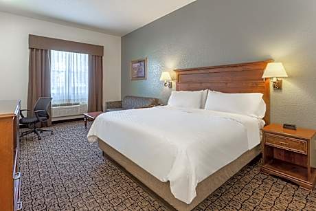 1 King Bed, Efficiency, Suite, Nonsmoking