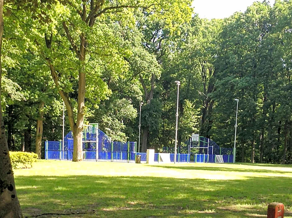 Acacia 1 Hengelhoef
