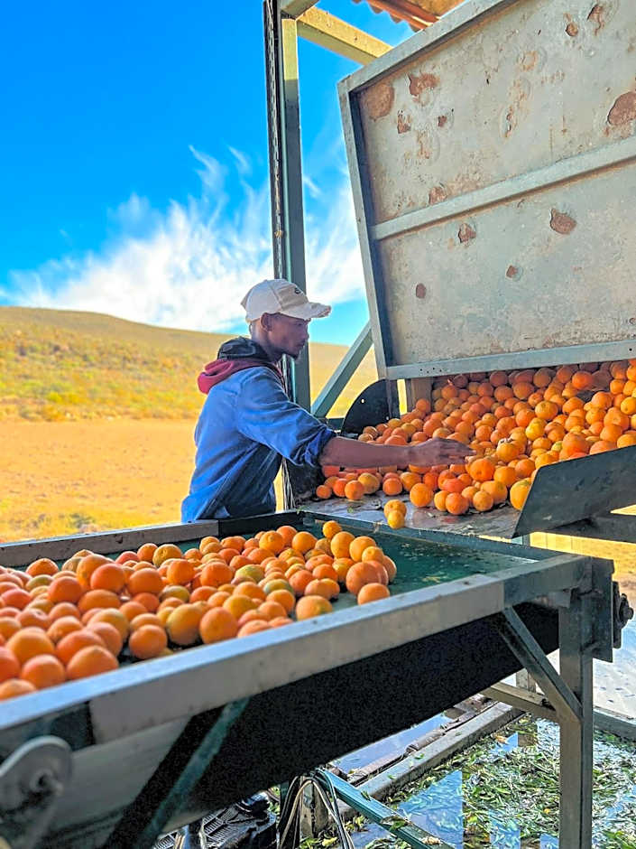 Simbavati Cederberg Ridge