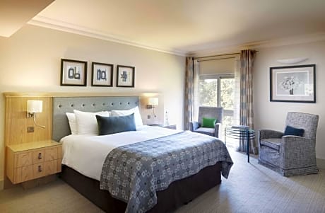 Deluxe Double River View