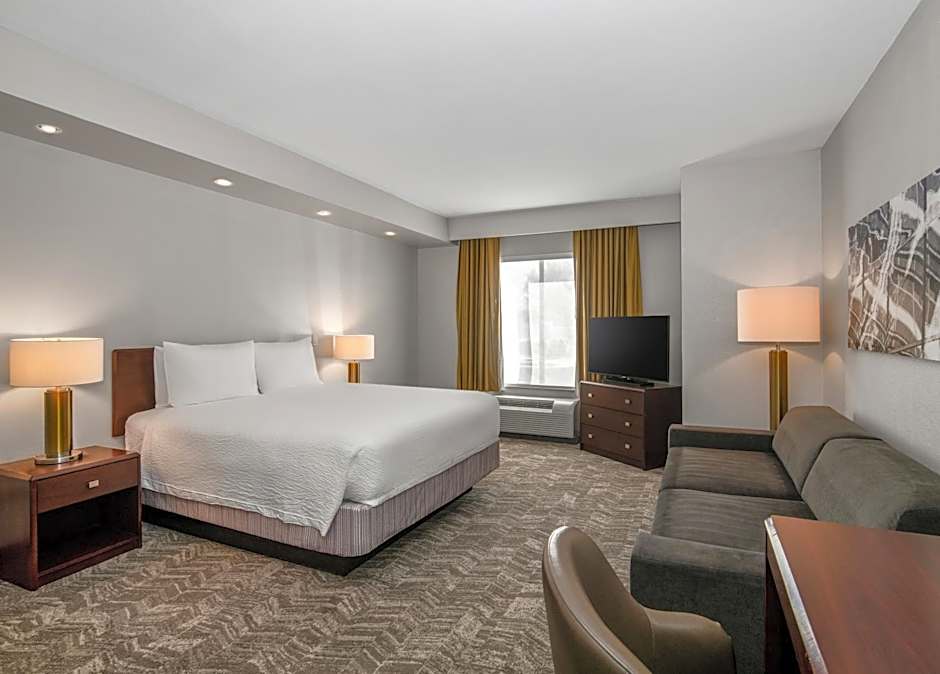 SpringHill Suites by Marriott Phoenix Glendale Sports & Entertainment District