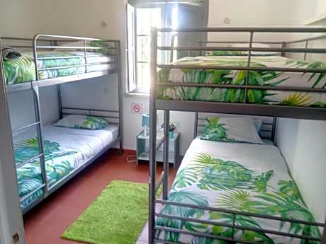 Bed in 4-Bed Mixed Dormitory Room