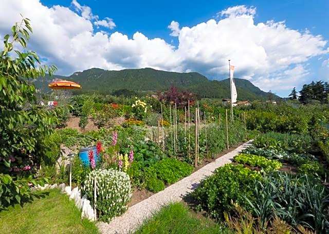 Guesthouse Pension Grafenstein