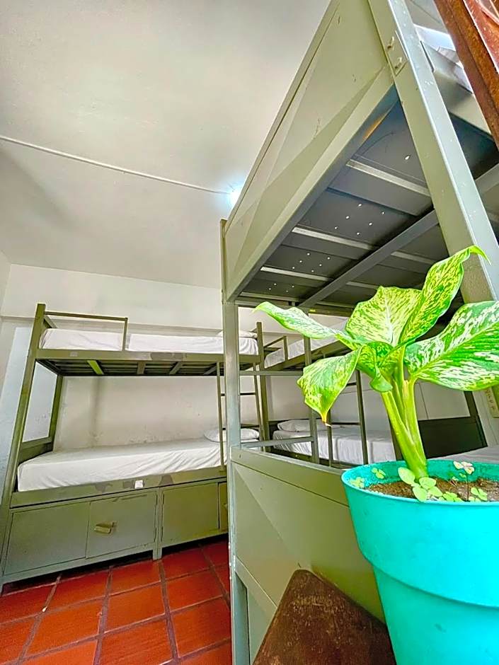 Che Lagarto Hostel Búzios