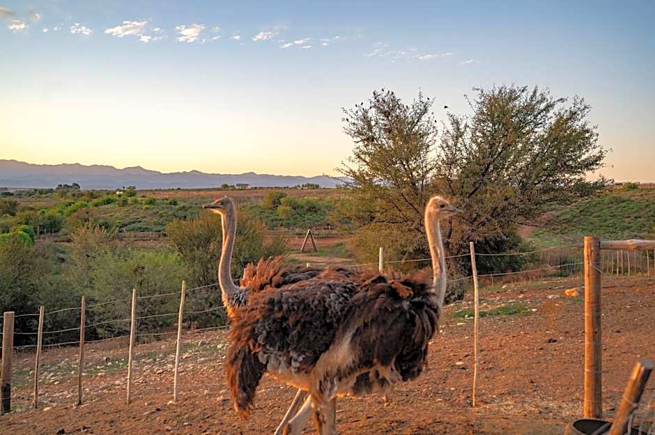 De Denne Country Guest House