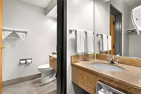 1 King Bed Non-Smoking