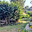 Le buisson de la Gariole