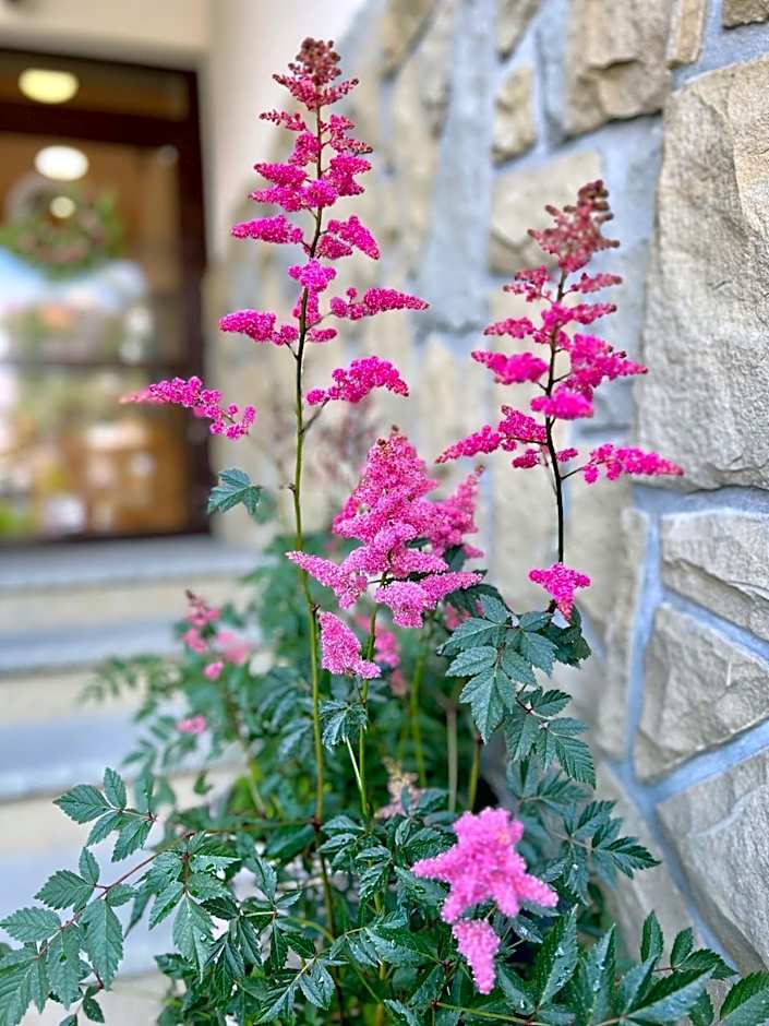 Hotel Nosal Ski & Wine