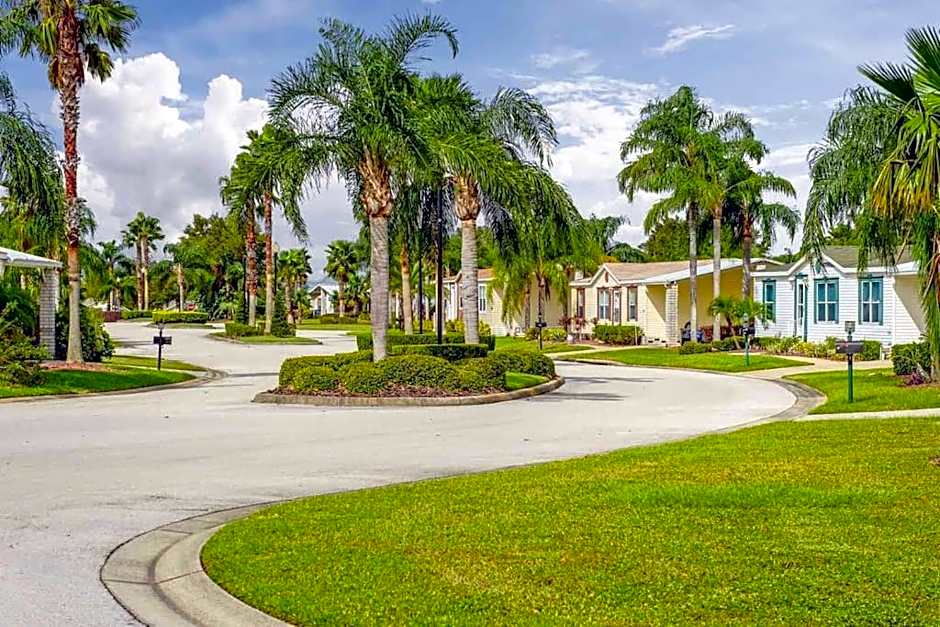 Coastal Imagination Oasis