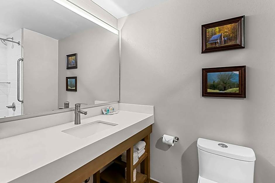 Comfort Suites Columbia I-65