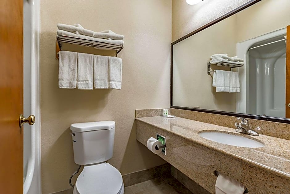 Quality Inn Schenectady - Albany