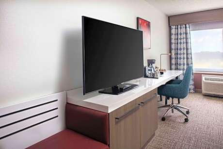 Junior King Suite with Sofa Bed