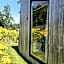 Tiny House De Klyster
