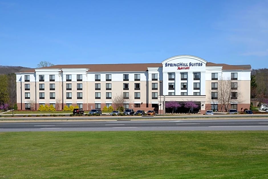 SpringHill Suites by Marriott Lynchburg Airport/University Area