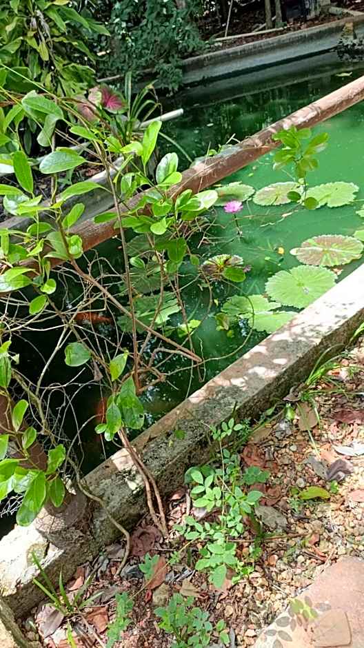 Centro Social Ecoturistico La Alberca