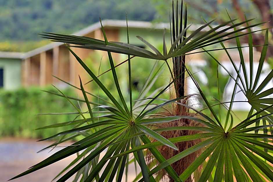 Curve360 Hotel Khao Yai