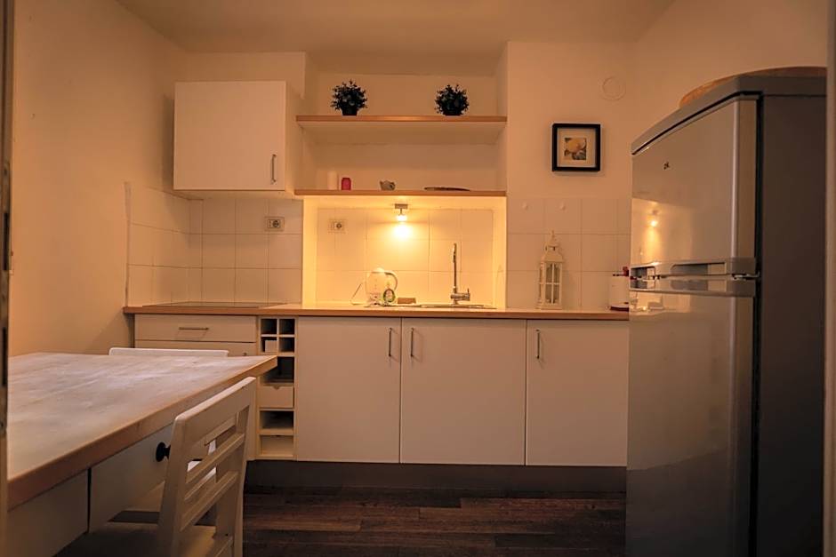 Residence Fink Central Apartments