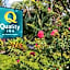 Quality Inn Goose Creek - Charleston