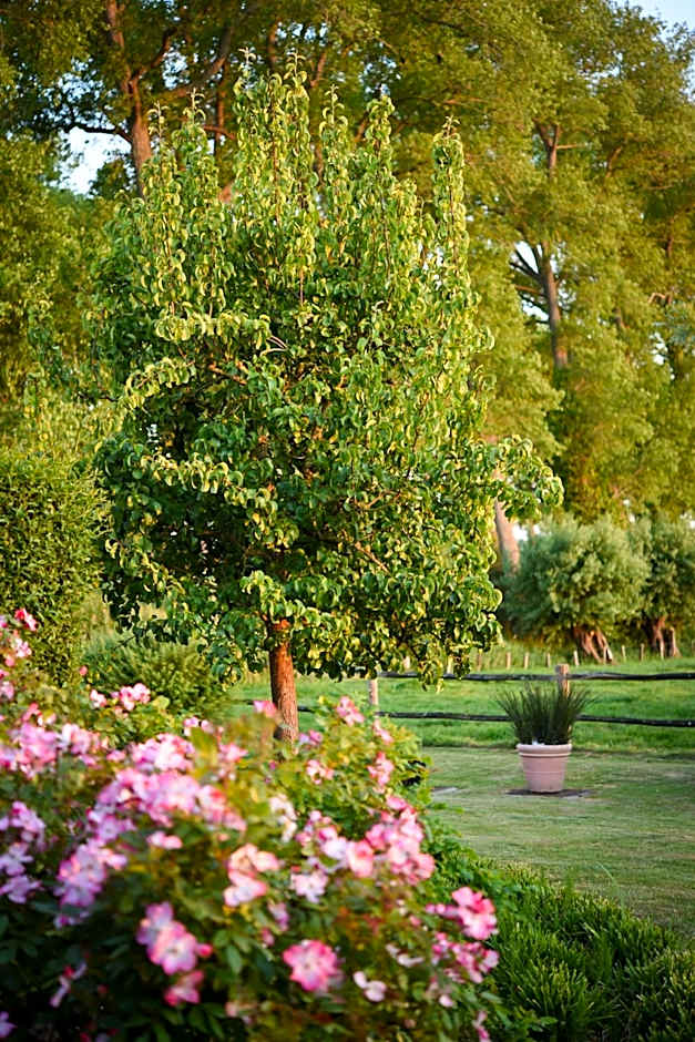 Hotel Ter Polders