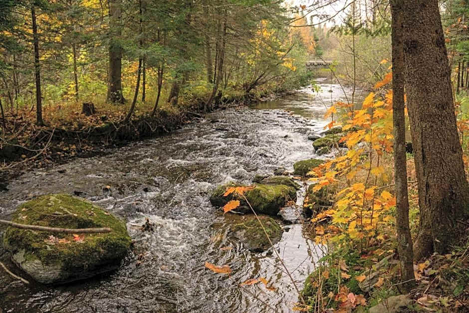 OPPY SHACK - SPA, BABY FOOT, BASKETBALL, LAC, RIVIERE