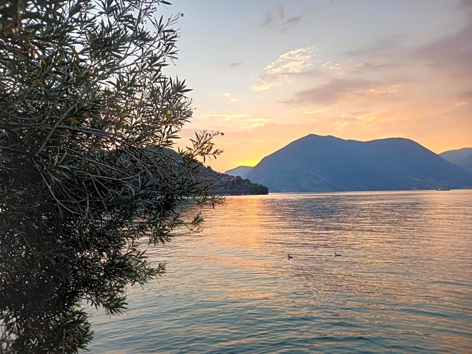 L'Oleandro sul Lago d'Iseo B&B