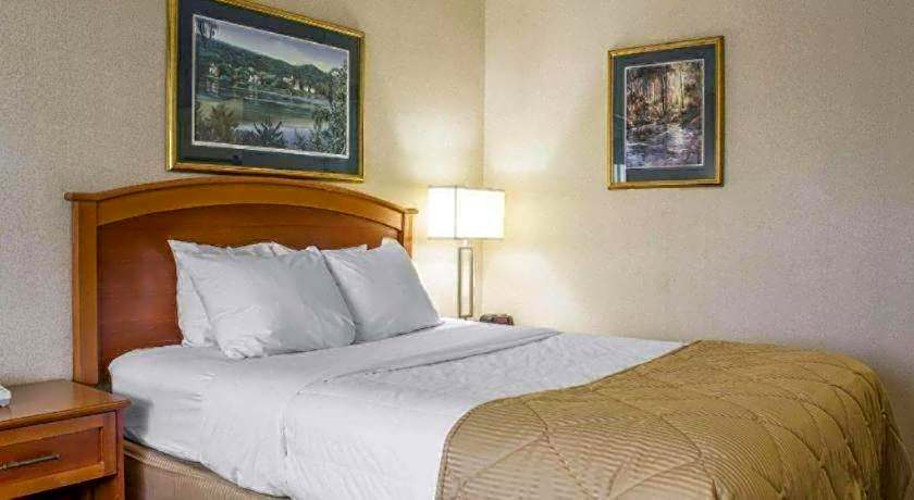 Lifestyle Inn Cedar Falls