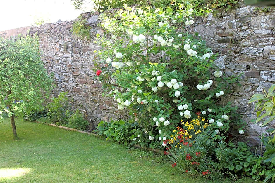 Hôtel Coeur De Loire