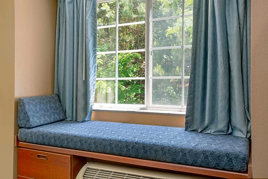 Microtel Inn & Suites by Wyndham Gardendale