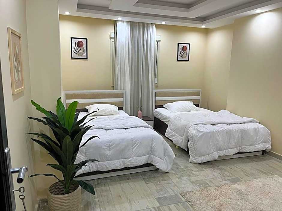 Mohandsen modern apartment