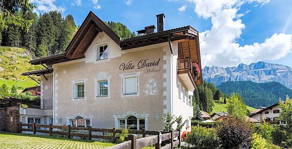 Villa David Dolomites