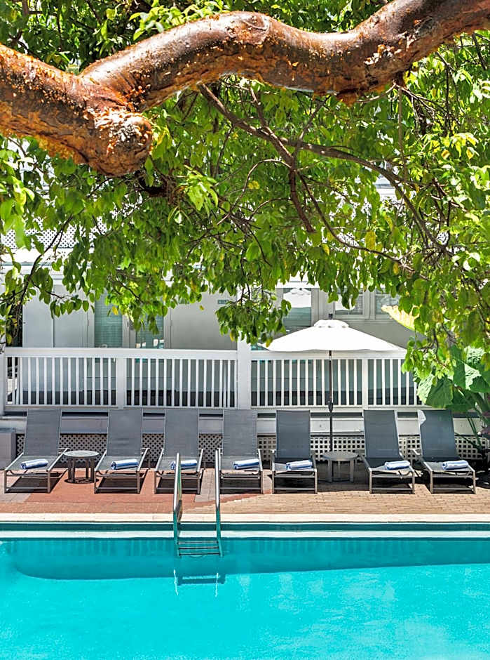 Nyah - Adult Exclusive